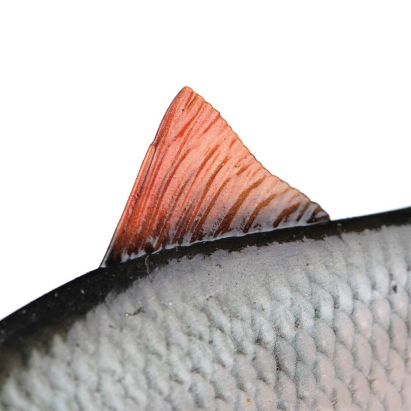 Gum Fox Rage īpaši reālistiska prusaku replikanta māneklīte 10 cm-16 g