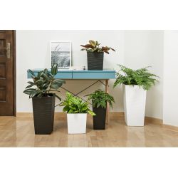 Pods puķu juka dluto 40x40x42 pelēks