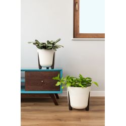 Puķupods pl. frida 229-74 300