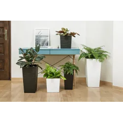 Gėlių vazonas Lamela 600-83, plastikinis, ruda sp.