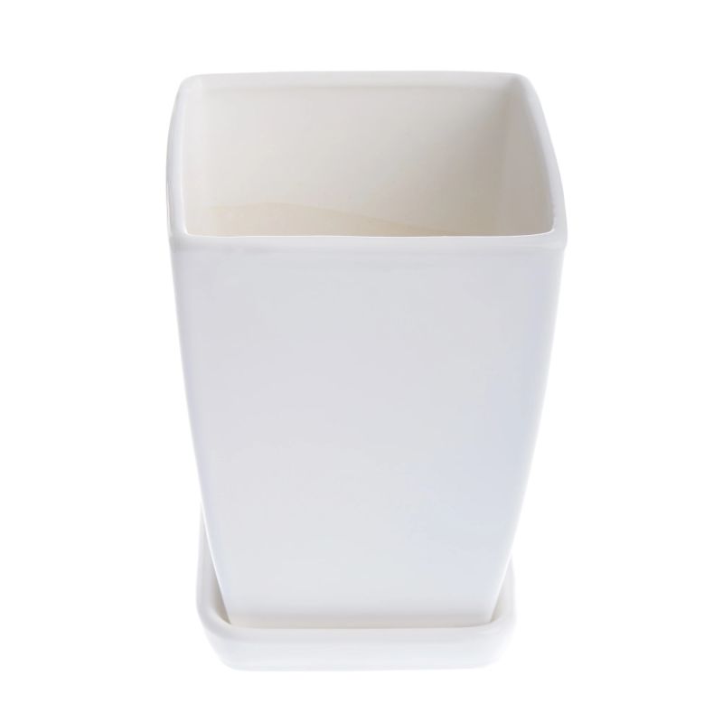 Pods puķu papartis 2 d14