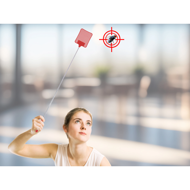 Beper C206UTI020 Telescopic Fly Swatter Paddle