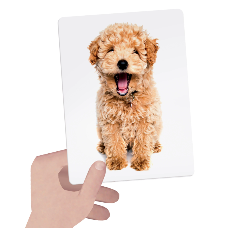 HEADU Taktilās Montesori zibkartītes