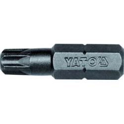 Uzgalis TORX T10x25 mm, 1-4'