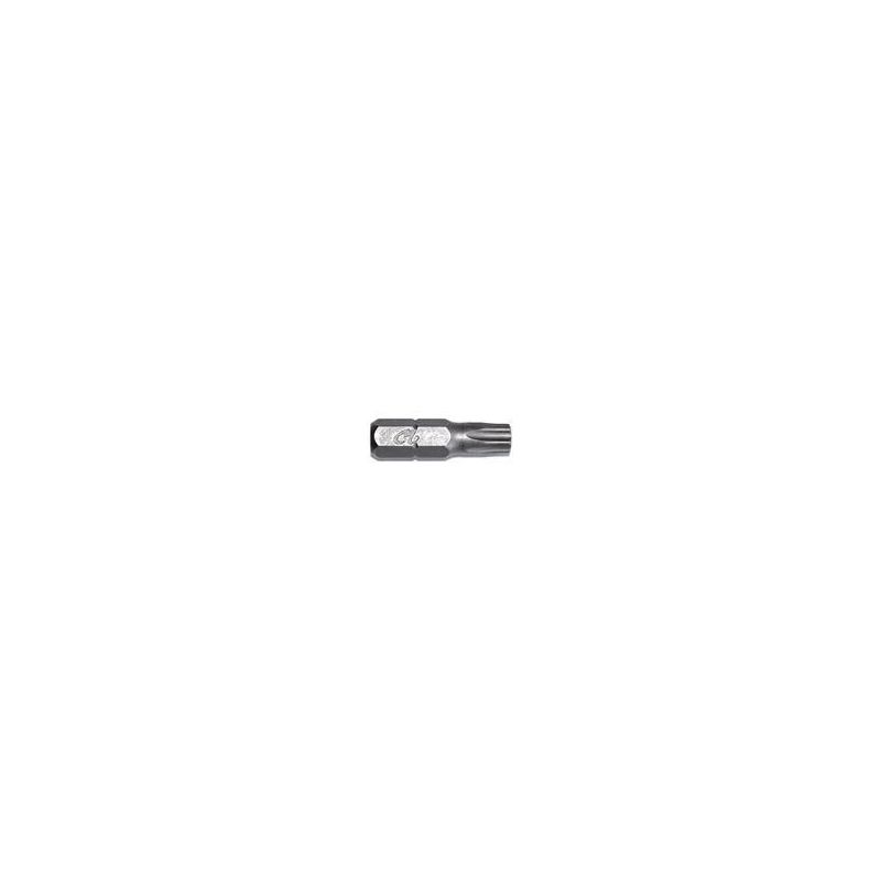 Uzgalis TORX T25x25 mm, 1-4'