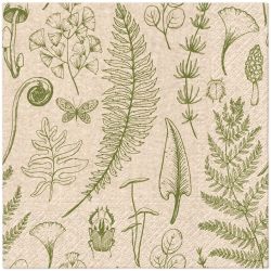 Salvetes. 330 mm x 330 mm. 20 gab.