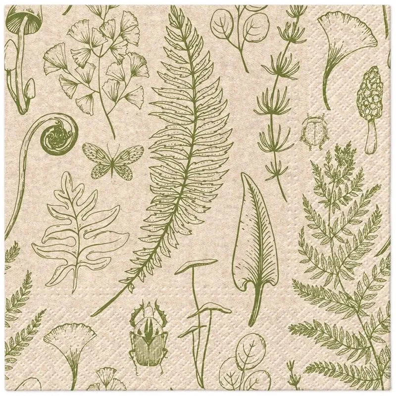 Papīra salvetes PAW, 33 cm x 33 cm, brūna krās.-zaļa krās., 20 gab.