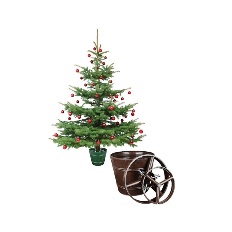 Pods puķu eglītei+2 gredzeni d29.5 brūns