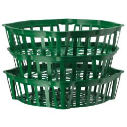 Grozs sīpolpuķu d20 h6 ,50,