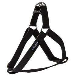 Plecu siksniņa dzīvniekam