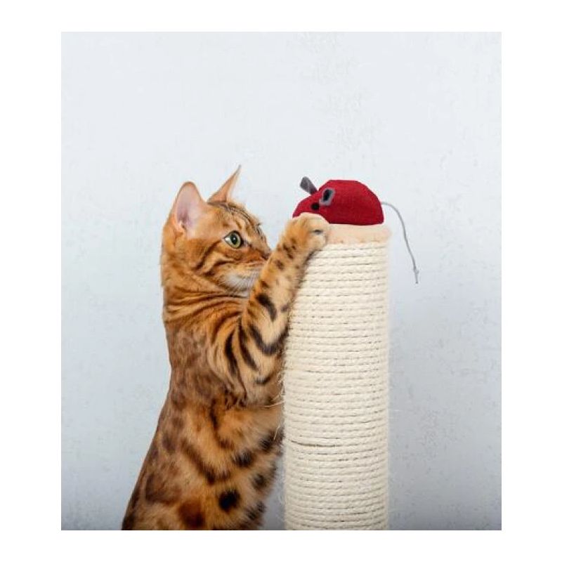 Rotaļlieta kaķim pele pet toys 7.5x3x4cm