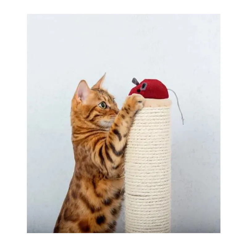 Rotaļlieta kaķim Pet Toys, ,krāsa-dizains tiek izvēlēts nejauši,, 7.5 cm