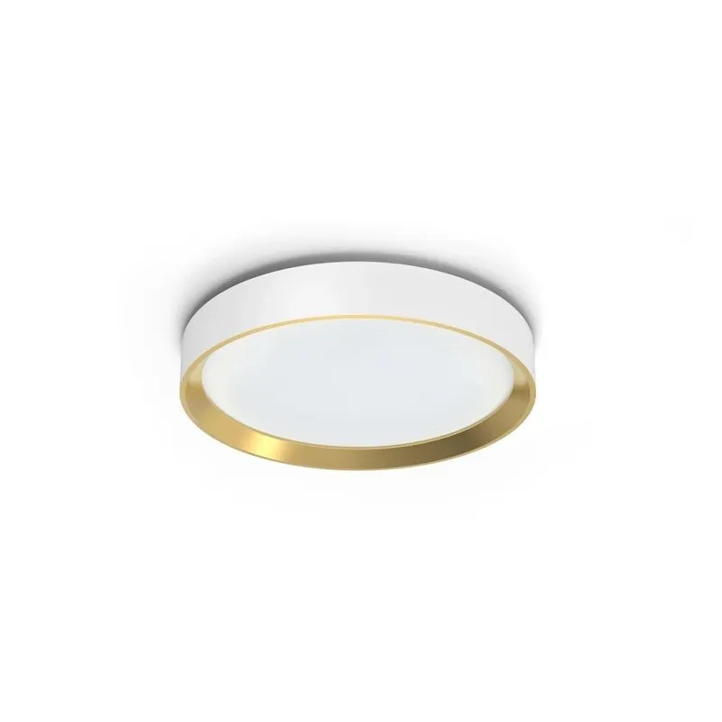 Šviestuvas lubų Philips Hanno 929004116001, LED, 2700 °K, 1 x 24 W