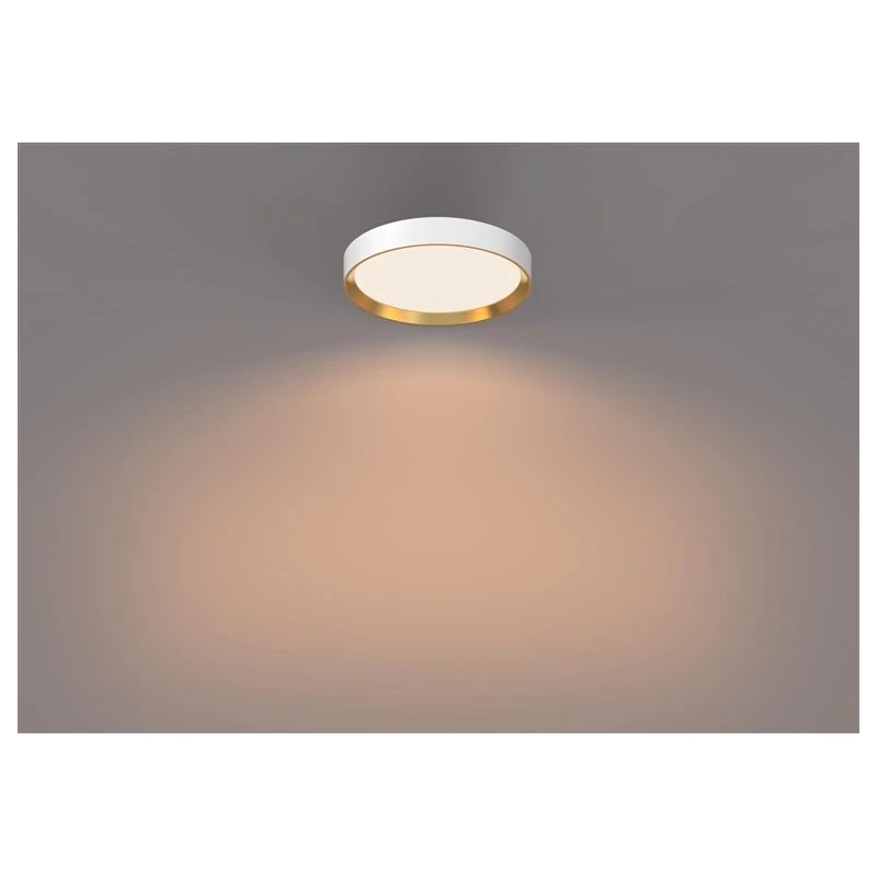 Lampa griestu ss rd 24w 27k w_g