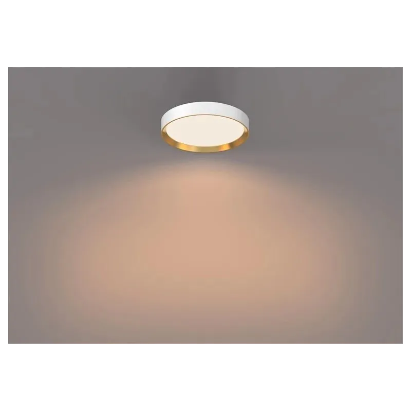 Šviestuvas lubų Philips Hanno 929004116001, LED, 2700 °K, 1 x 24 W