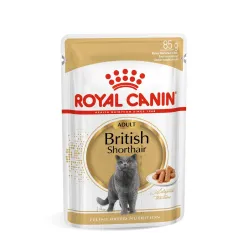 Kassi märgtoit Royal Canin British Shorthair Adult in Sauce, 0.085 kg