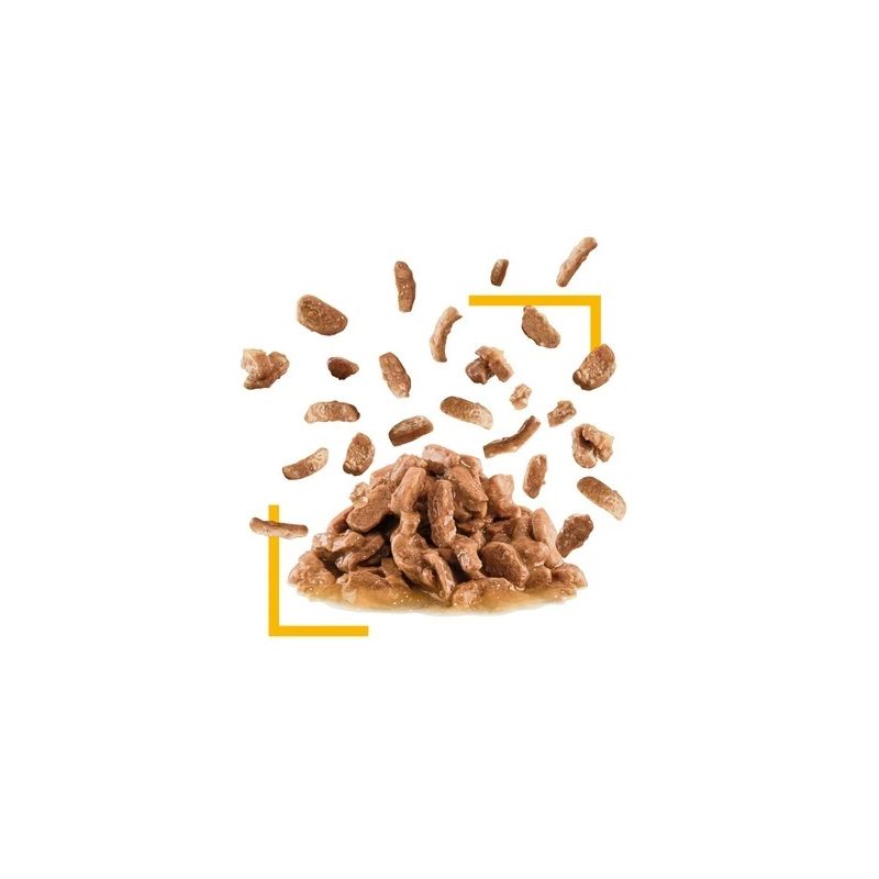 Kaķu barība sensory taste gravy 85g