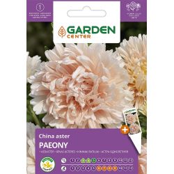 Sēklas ķīnas astere paeony rozā