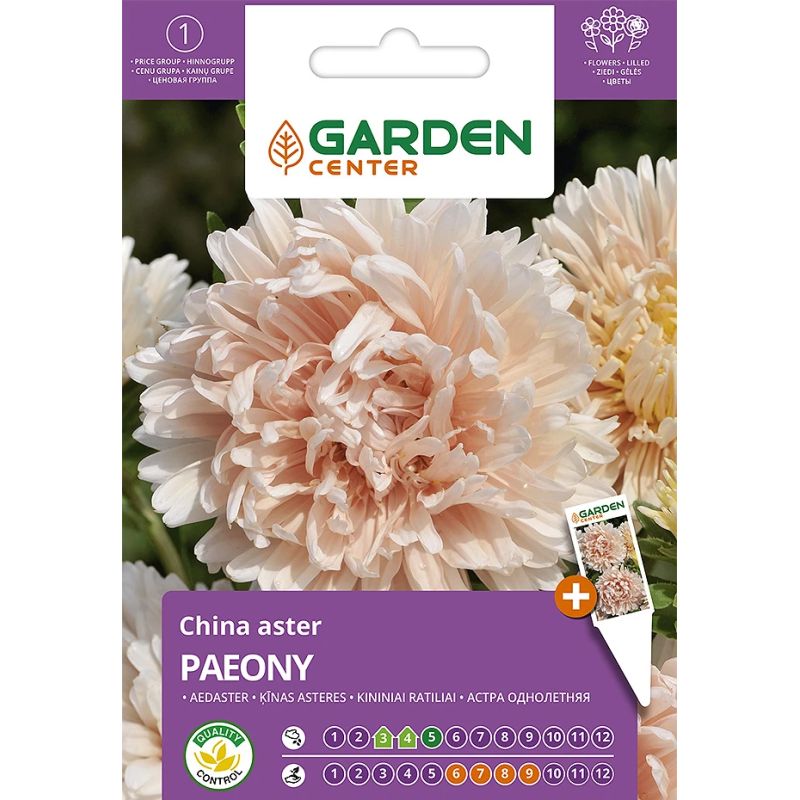Sēklas ķīnas astere paeony rozā