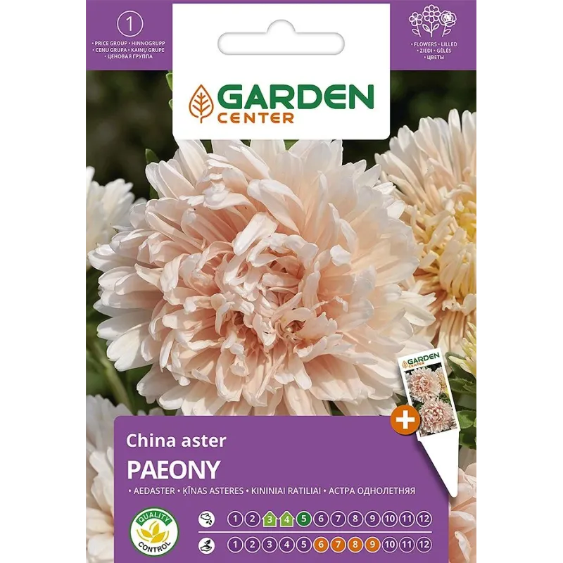 Sēklas Garden Center ķīnas astere Paeony, 0.5 g