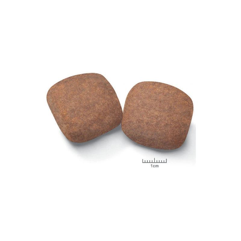 Barība suņu giant adult 15kg