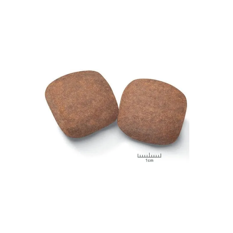 Sausā suņu barība Royal Canin SHN Giant Adult, vistas gaļa, 15 kg