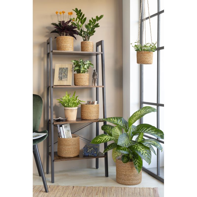 Puķpods jūraszāļu 508-22 nut d22