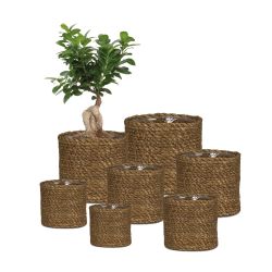 Puķpods jūraszāļu 508-19 brown d19