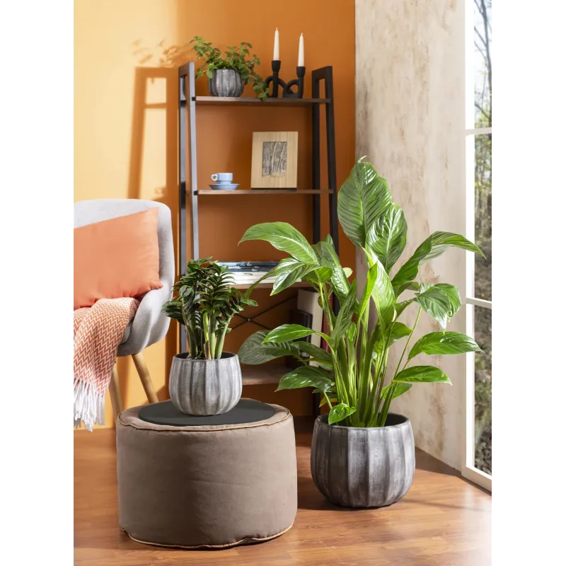 Puķu pods Scheurich 67959, keramika, pelēka