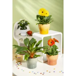 Lillepott Scheurich 68198, keraamiline, roheline