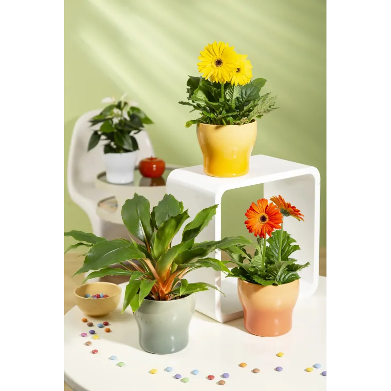 Puķu pods Scheurich 68198, keramika, zaļa