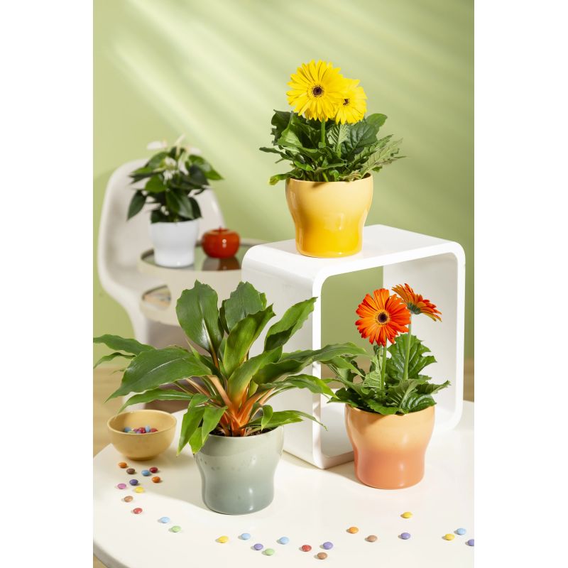 Puķpods keramikas 824-18 sunrise d18