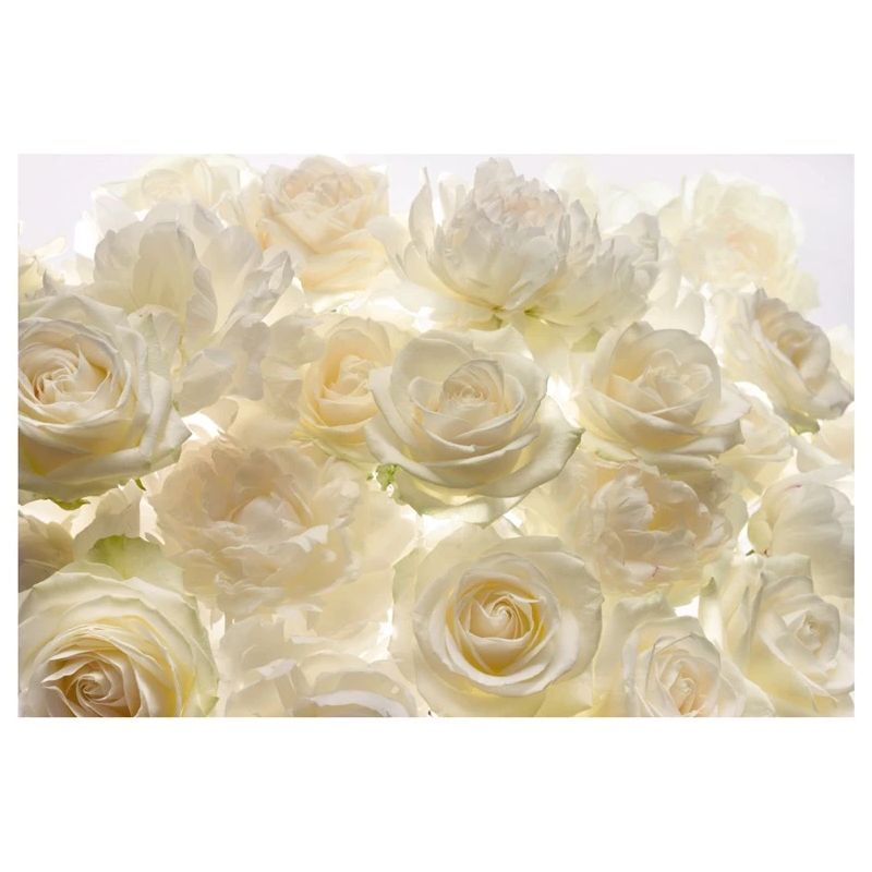 Fototapete xxl4-007 baltas rozes