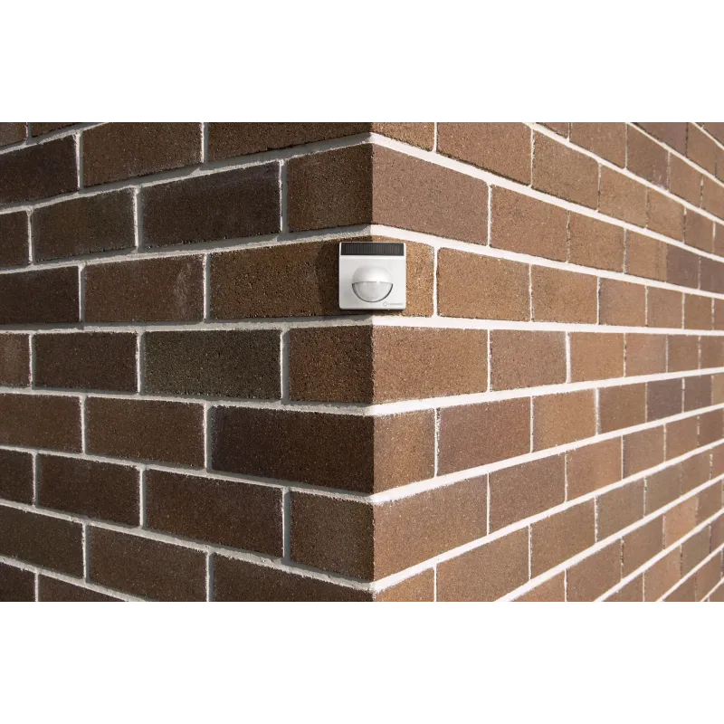 Ār.kustību detektors smart wifi wh ledv