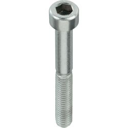 Kruvi DIN 912 Haushalt, 8 mm x 60 mm, 100 tk