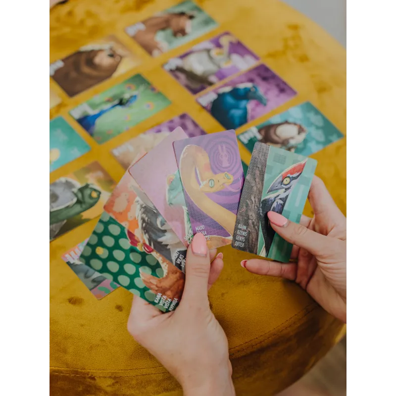 Kāršu spēle Brain Games Similo Animals, LT LV EE RUS