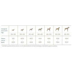 Sausā suņu barība Quattro Maxi Adult Large Breed, vistas gaļa, 3 kg