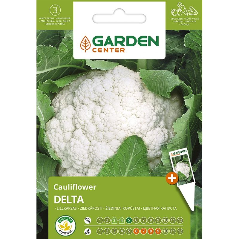 Sēklas Garden Center, dārza kāposti Delta, 1 g