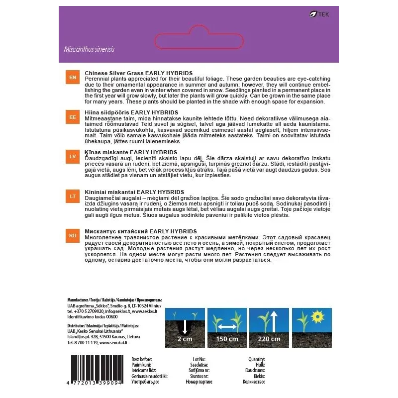 Sēklas Garden Center sudrabzāle EARLY HYBRIDS, 0.1 g