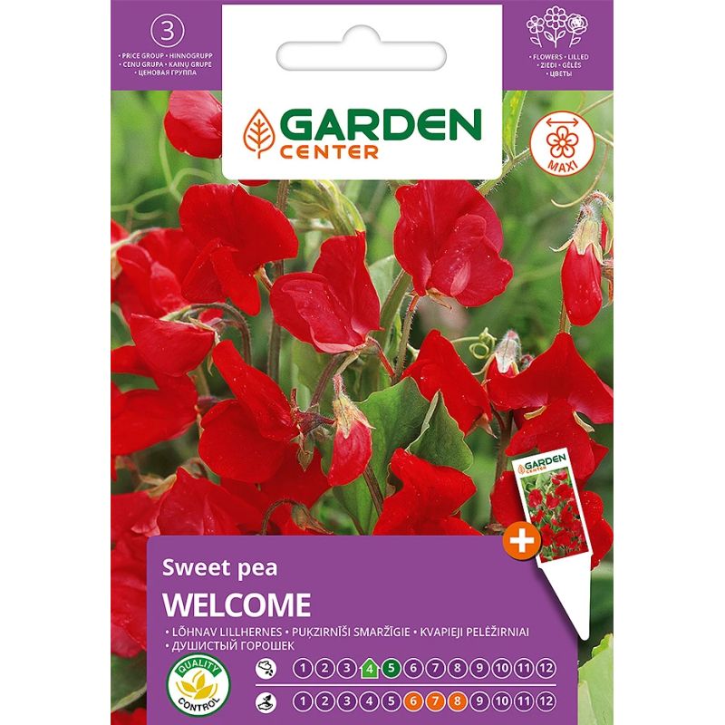 Sēklas ziedu puķuzirņi welcome 3g