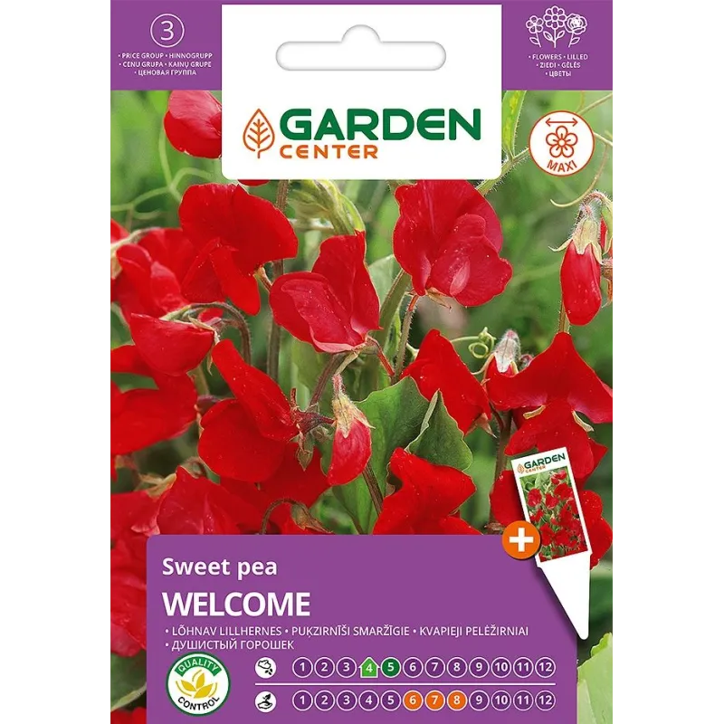 Sēklas Garden Center platlapu dedestiņa WELCOME, 3 g