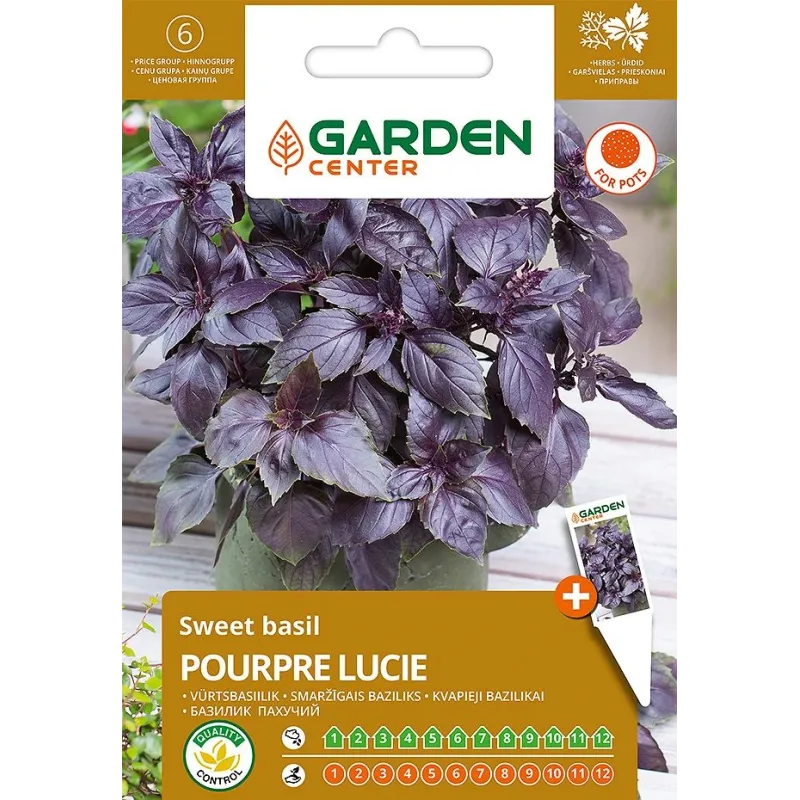 Sēklas Garden Center baziliki POURPRE LUCIE D8, 5 g