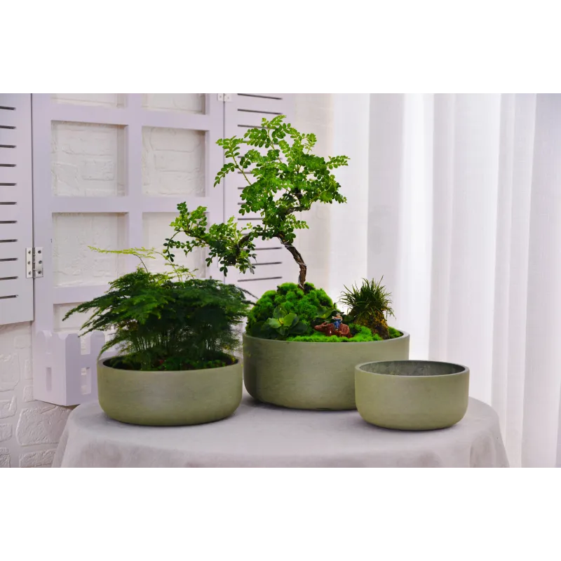 Puķu pods Domoletti M-21GD20, spw, zaļa