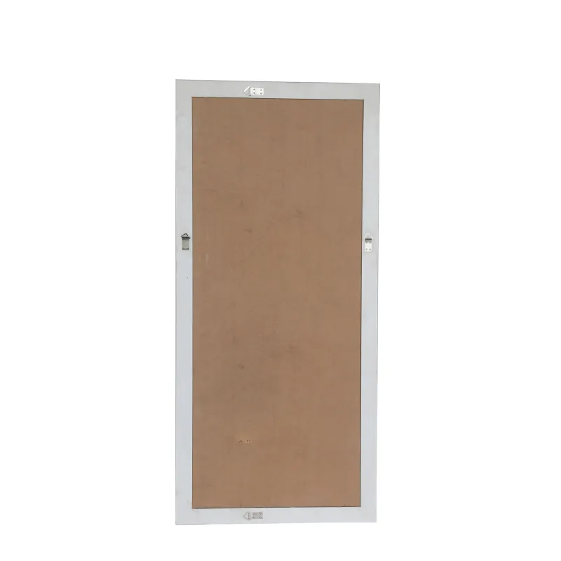 Spogulis asja 162x72x3.5 zelts