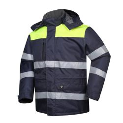 Jaka ziemas hana pelēkzila-dzeltenaxl