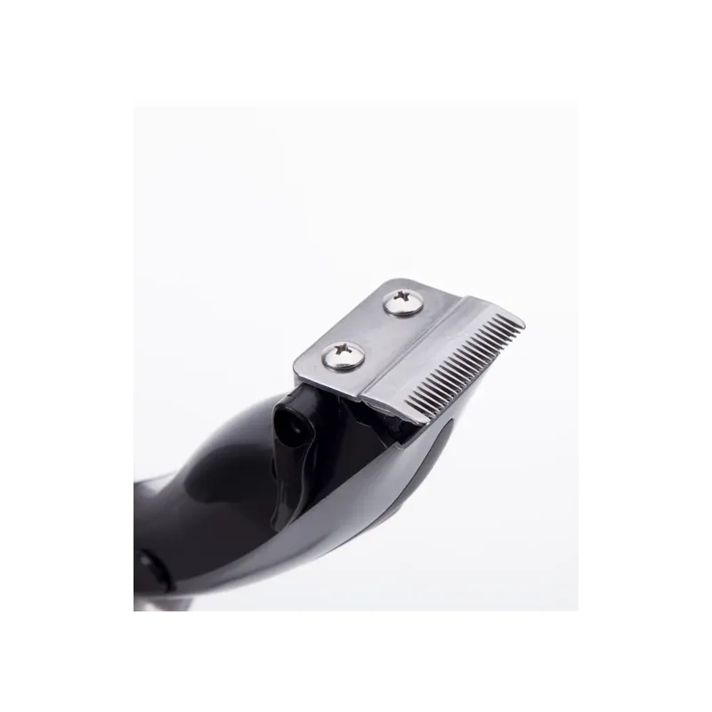 Jata MP423