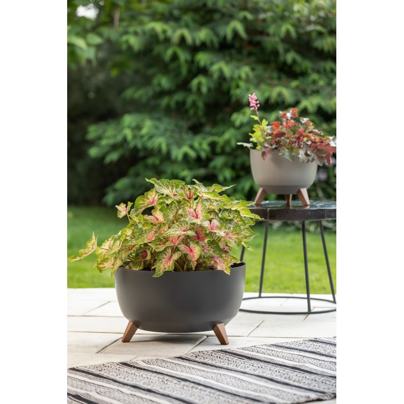 Puķupods pl. bowl roma 797-82 240