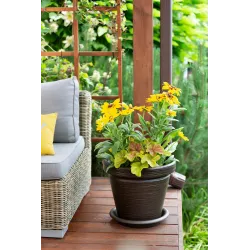 Lillepott Lamela Agawa Dłuto 745-83, plastik, pruun v.