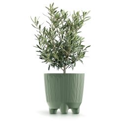 Puķupods ryfo n drf150n-5615c