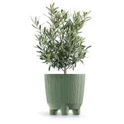 Puķu pods Prosperplast Ryfo DRF150N-5615C, plastmasa, zaļa